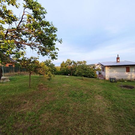 Wine House Znojmo Villa Eksteriør bilde